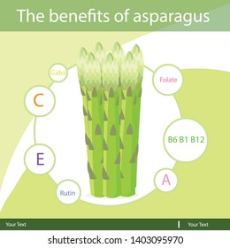 Illustrator of asparagus isolated natural