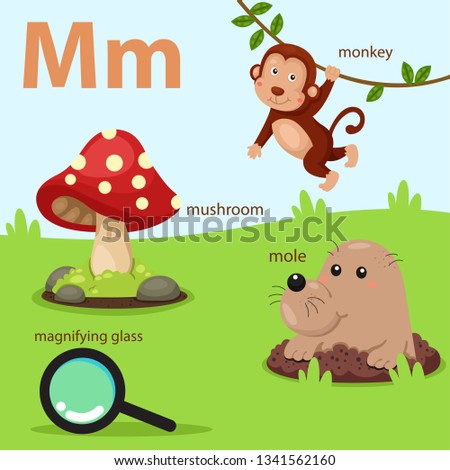 Illustrator of a-z set for m islated