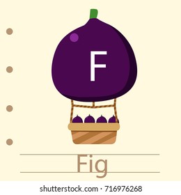 Illustrator of balloon f fig