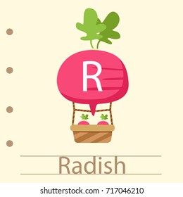 Illustrator of balloon r radish