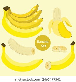 Illustrator of banana set fruit