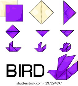 Illustrator of Bird origami