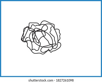 Illustrator cabbage vegetable art ,lines kitchen food design for home wall art