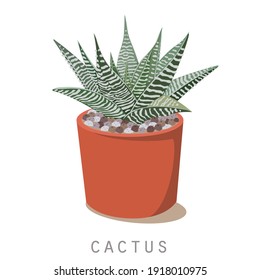 Illustrator of cactus plant isolated 