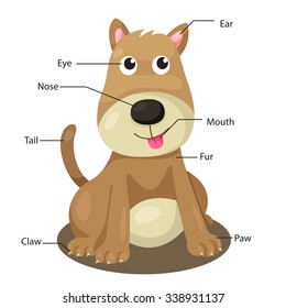 Animal Body Parts Images, Stock Photos & Vectors | Shutterstock