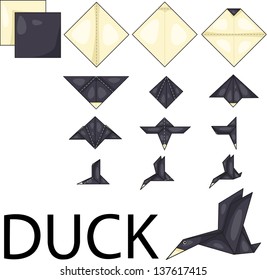 Illustrator of Duck