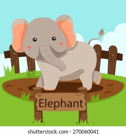 Illustrator of Elephant in the zoo