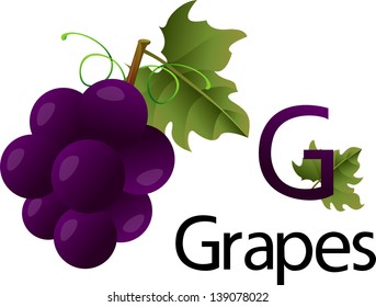 Illustrator g font with grapes