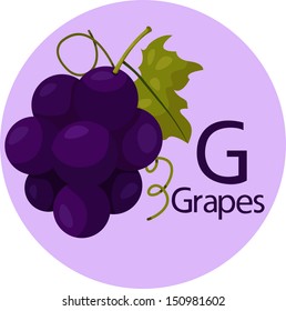 497 G grapes Images, Stock Photos & Vectors | Shutterstock