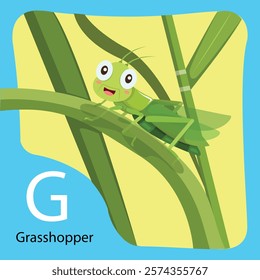 Illustrator of G is grasshopper for Bug