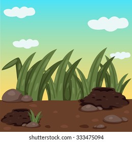 Illustrator of garden with nature