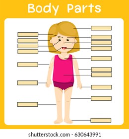 Illustrator Girl Body Parts Stock Vector (Royalty Free) 630643991 ...