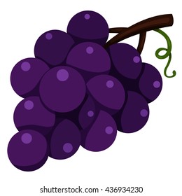 Illustrator of grapes