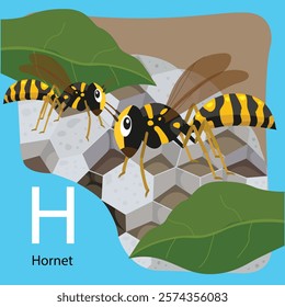 Illustrator of H is Hornet for Bug