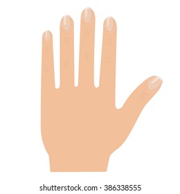 Illustrator of hand