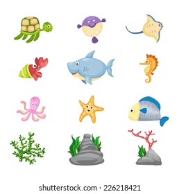 Illustrator of  isolated marine life vector