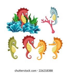 Illustrator of  isolated sea horse vector