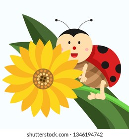 
Illustrator of ladybug