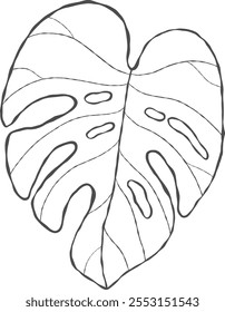 Illustrator von Blatt Umriss handgezeichnet.
