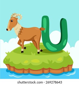 Illustrator of Letter 'U is for Uri al'
