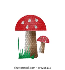 Illustrator of mushrooms