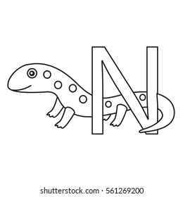 Illustrator of n newt
