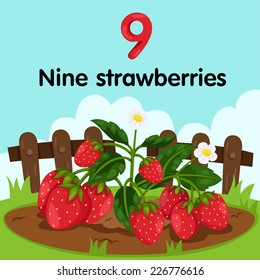 Illustrator of number nine strawberries