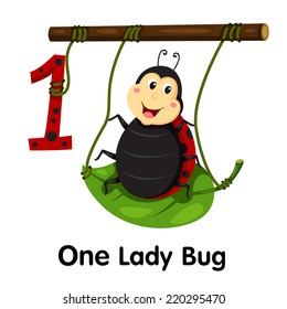 Illustrator of number of one lady bug