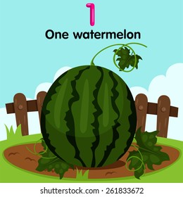 Illustrator of number one watermelon