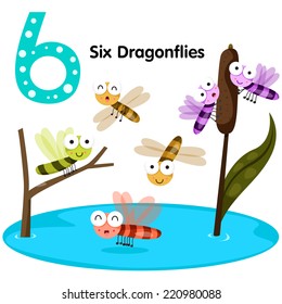 Illustrator of number six dragonfly