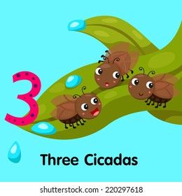 Illustrator of number three cicadas