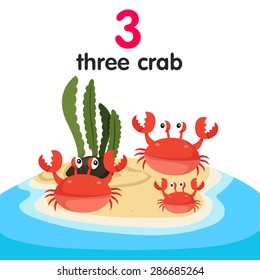 Illustrator of number three crab