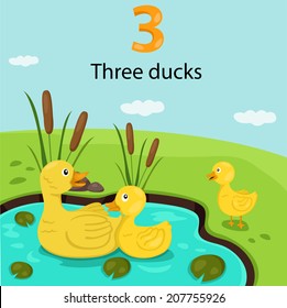 Illustrator of number three with ducks