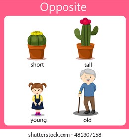 Illustrator Opposite set old and young
