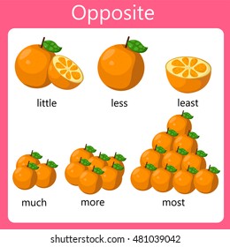 Illustrator Opposite set one