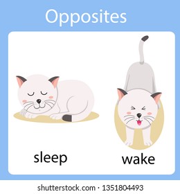 Illustrator Opposites Sleep Wake Stock Vector (Royalty Free) 1351804493 ...