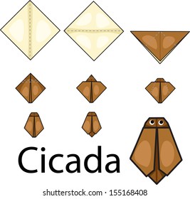 Illustrator of origami with cicada