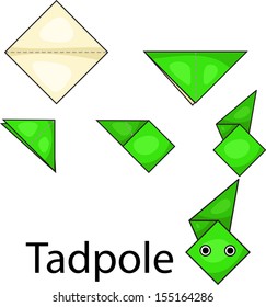 Illustrator of origami with tadpole