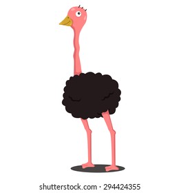 Illustrator of ostrich cartoon
