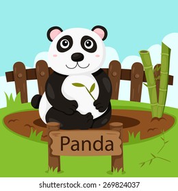 Illustrator Panda Zoo Stock Vector Royalty Free