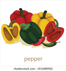 Illustrator of pepper vegetable isolated