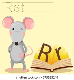 Illustrator of R for Rat vocabulary