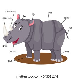 Illustrator of rhinoceros body part