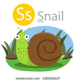 Illustrator of S for snail animal