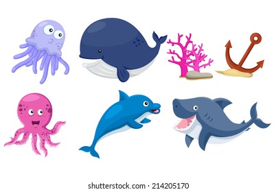 Illustrator of sea animals 