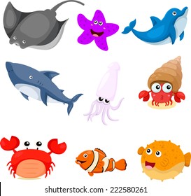 Illustrator of sea animals set 