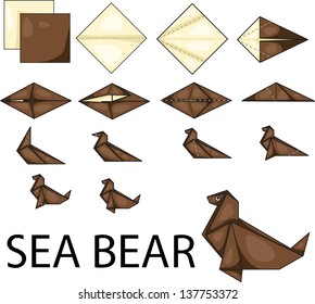 Illustrator of Sea Bear