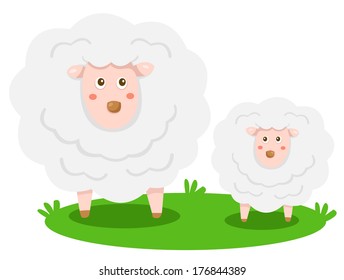 Illustrator of sheep two