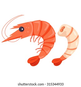 Illustrator of shrimp