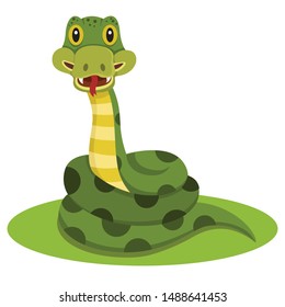 Illustrator of snake animal cartoon